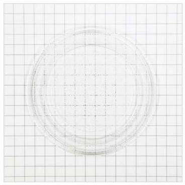 GE WES1450DS1BB Rotating Glass Cooking Tray - Genuine OEM