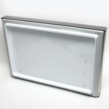 Bosch B26FT70SNS/01 Freezer Door - Genuine OEM