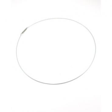 Bosch WFL2060UC/22 Retaining Ring Genuine OEM