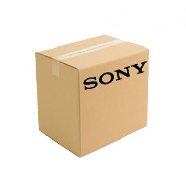 Sony Part# 1-857-036-21 Main Board (OEM)