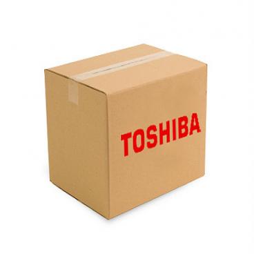 Toshiba Part# 23144378 Radial Lead Fuse (OEM)