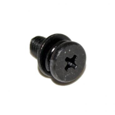 Toshiba Part# 75025324 Stand Screw (OEM) 40Sl412u, Maai50000zi
