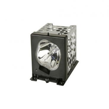 Panasonic Part# TY-LA1500 Lamp With Housing