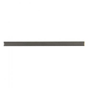 Frigidaire FRS20ZGJB0 Handle Trim (Metallic Gray) - Genuine OEM