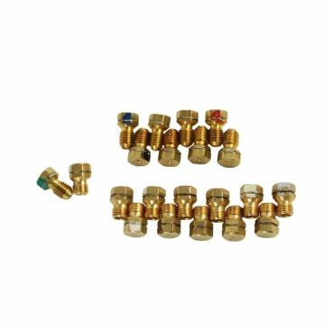 WWSS2614SS1 Liquid Propane Gas Conversion Kit - Genuine OEM