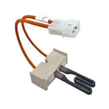 GE GTDP250GM0WW Dryer Gas Igniter Assembly - Genuine OEM