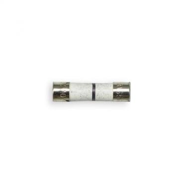 GE JEB1860SMSS Replacement Line Fuse - Genuine OEM