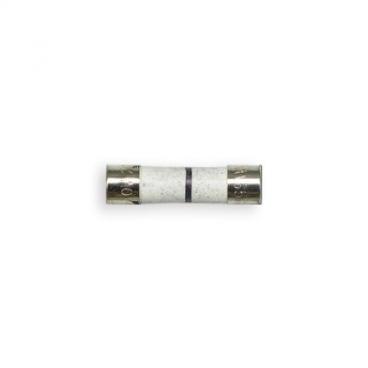 GE ZE1660SA03 Replacement Line Fuse - Genuine OEM