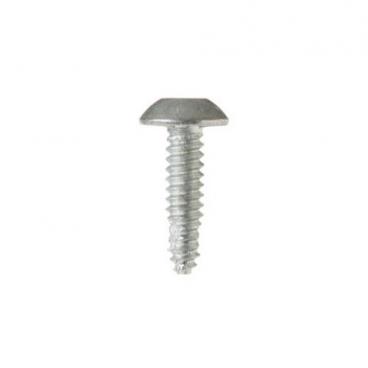 GE CFE28USHESS Torx Screw (1/4-20) - Genuine OEM