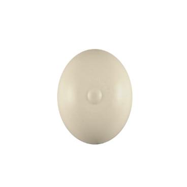 GE GLC4100N10WW Float - Genuine OEM