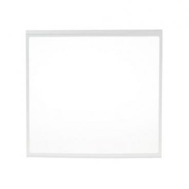 GE GNE21FMKPFES Full Shelf Assembly - Genuine OEM