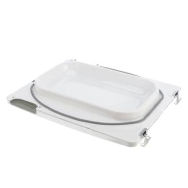 GE GTD45GASJ2WS Door Assembly - Genuine OEM