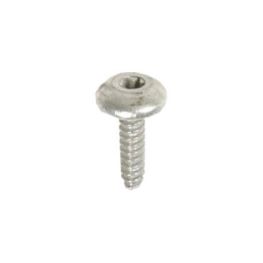 GE GTD45GASJ2WS Screw - Genuine OEM