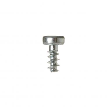 GE GTD45GASJ2WS Torx Screw (30x20) - Genuine OEM