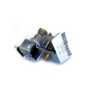 GE GTS18HSNERSS Water Valve - Genuine OEM