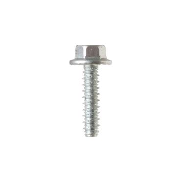 GE GTW685BSL2WS External Hex Platform Screw  - Genuine OEM