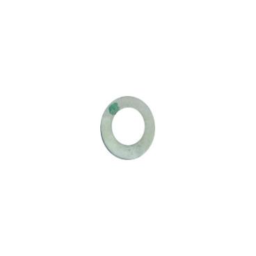 GE GTW720BPN1DG Belleville Washer - Genuine OEM
