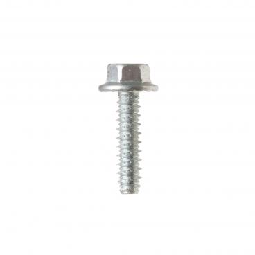 GE GTW720BPN1DG External Hex Platform Screw  - Genuine OEM