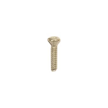 GE JGBP35WEA7WW Torx Mounting Screw - Genuine OEM
