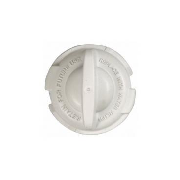 GE PGSS5PJXASS GSWF Water Filter Bypass Genuine OEM