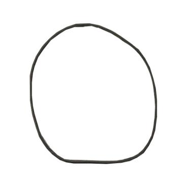 GE PT956DR1WW Oven Door Gasket - Genuine OEM