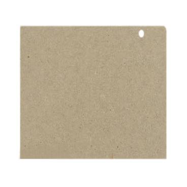 GE SCA1001KSS01 Wave Guide Mica Cover - Genuine OEM