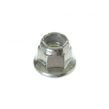 Hotpoint HTW240ASK0WS Pulley Nut - Genuine OEM