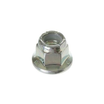 Hotpoint HTW240ASK6WS Pulley Nut - Genuine OEM
