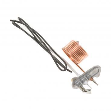 Hotpoint RGB518PCD2WH Pilot Assembly - Genuine OEM