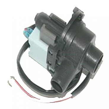 Haier XQB6091BF Pump - Genuine OEM