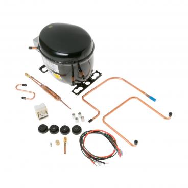 Hotpoint CSC20EASBWH Compressor Kit (R-12) - Genuine OEM