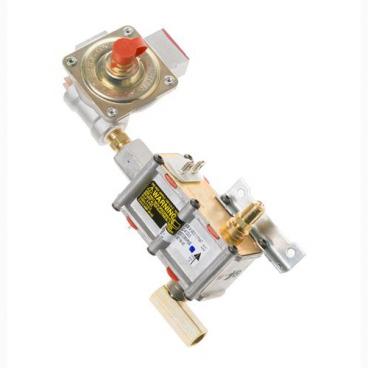 Hotpoint RGB745BEHDWH Safety Valve and Regulator Assembly - Genuine OEM