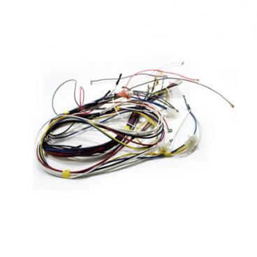 Kenmore 790.78873402 Wire Harness