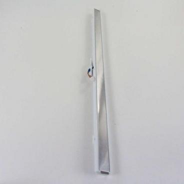 LG LFXS28968S/00 Door Divider Flipper - Stainless  - Genuine OEM