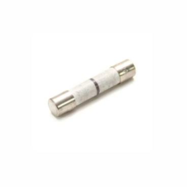 LG LMV2073WW Fuse, Time Delay - Genuine OEM
