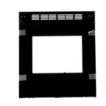 Samsung NE59K3310SB/AA Outer Door Panel - Genuine OEM