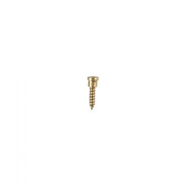 Whirlpool Part# W10029720 Screw (OEM)