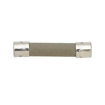 IBMS1450YB0 Line Fuse - Genuine OEM