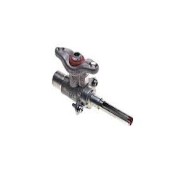 IGS350BW0 Burner Valve - Genuine OEM