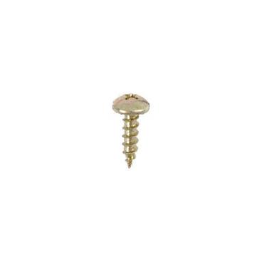 Kenmore 106.67373800 Screw - Genuine OEM