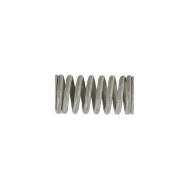 Kenmore 110.73461600 Drive Basket Spring - Genuine OEM