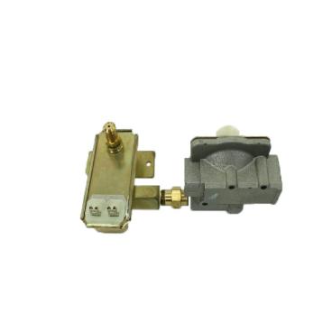 TGP325KQ0 Gas Valve Regulator - Genuine OEM