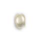 Frigidaire Part# 134555510 Push Button (OEM)