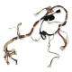 Whirlpool Part# W10219254 Wire Harness (OEM)