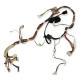 Whirlpool Part# W10508741 Wire Harness (OEM)