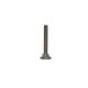 Amana TGA400 Adjustable Leg and Nut - Genuine OEM