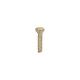GE JGB916CEK7CC Torx Mounting Screw - Genuine OEM