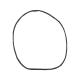 GE PT956DR1WW Oven Door Gasket - Genuine OEM
