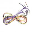 Whirlpool Part# 12001732 Wire Kit (OEM)