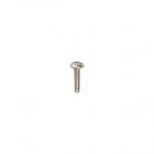 Frigidaire Part# 154093301 Screw (OEM)